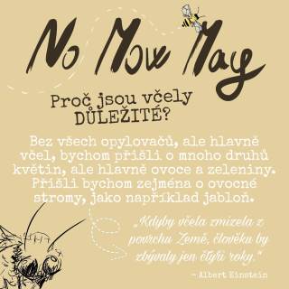 No Mow May