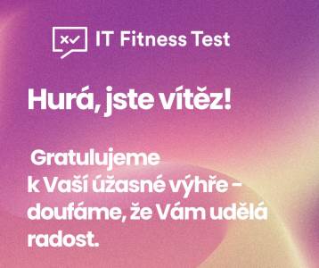 IT Fitness Test