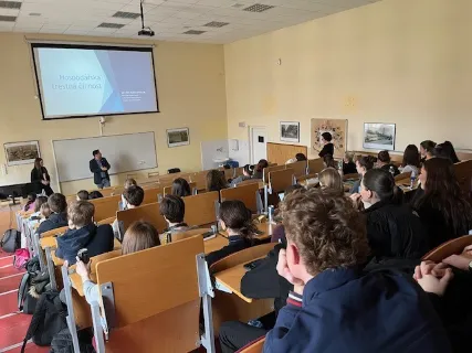 Podnikání bez rizika